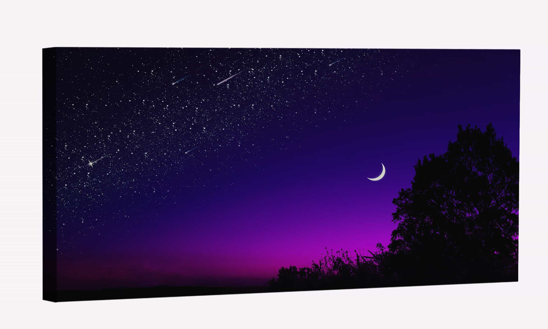 Dark Night Purplel Sky Canvas Art