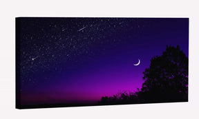 Dark Night Purplel Sky Canvas Art