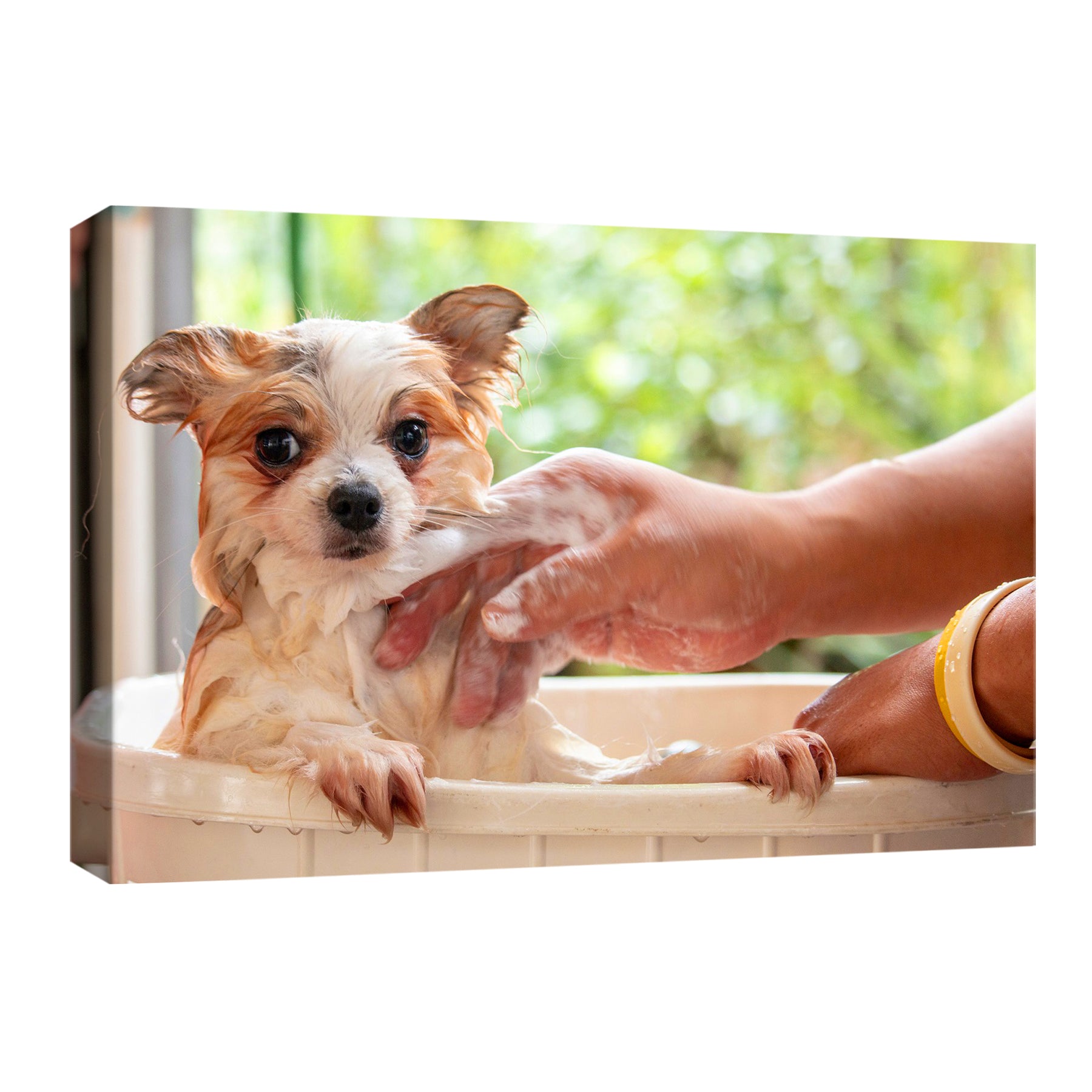 Pet Portrait Print Custom Photo To Canvas Print