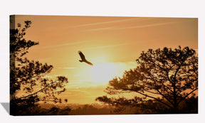 Eagle Flying Towards Sunset Canvas Art
