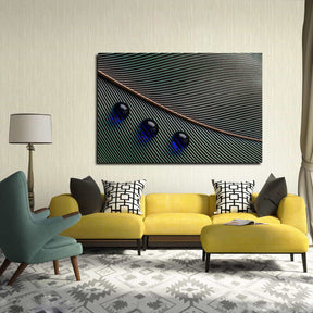 Feather Water Droplets Canvas Art