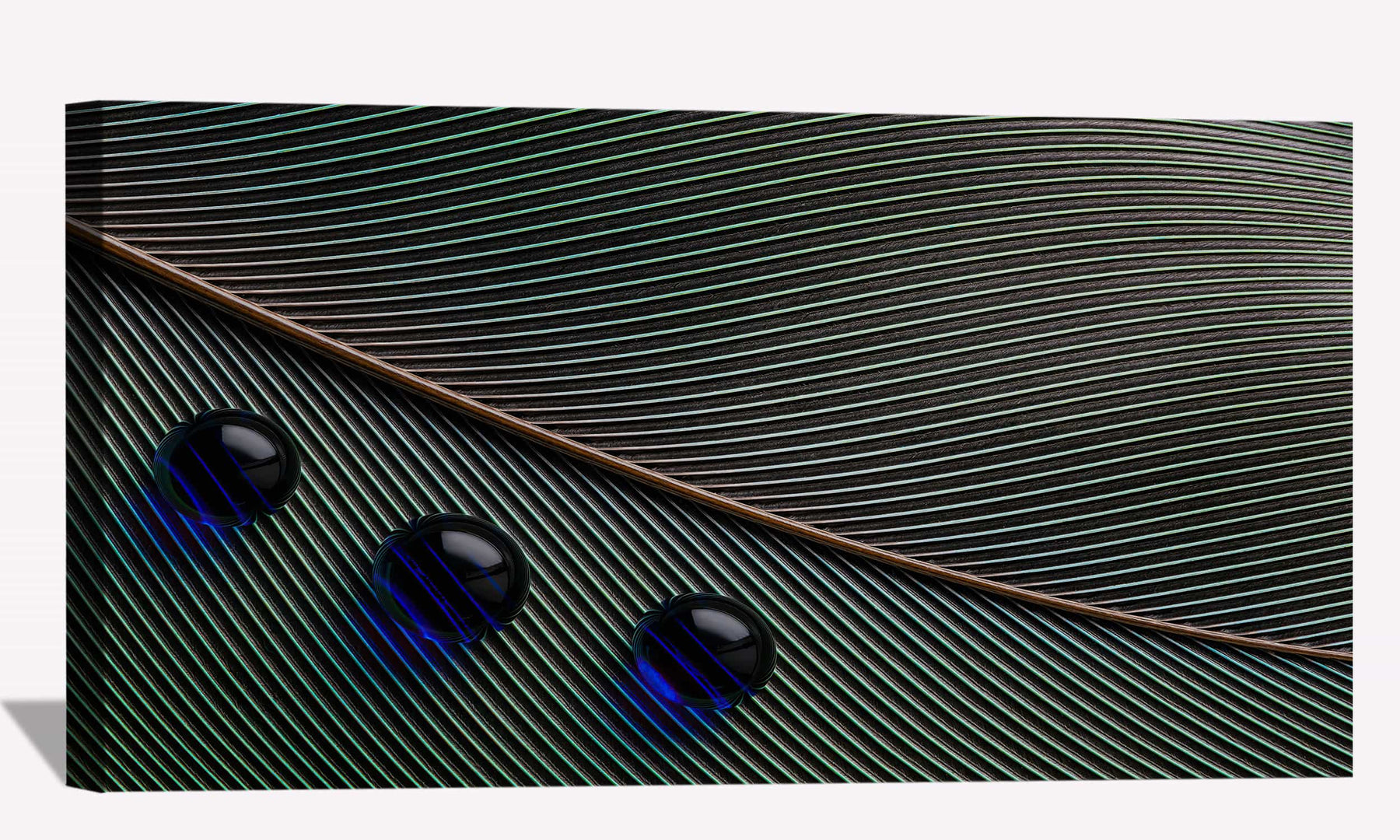 Feather Water Droplets Canvas Art