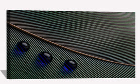 Feather Water Droplets Canvas Art