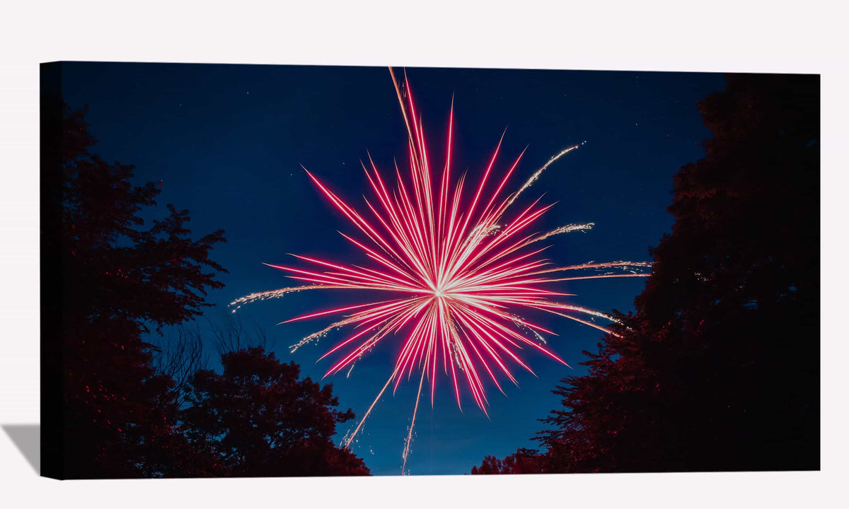 Firework Lake Canvas Art