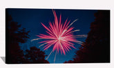 Firework Lake Canvas Art
