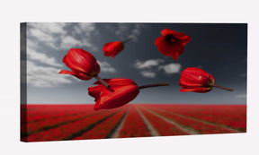 Lalibela Gravity Flowers Canvas Art