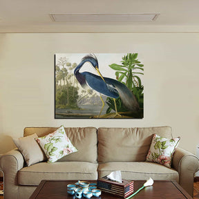 Louisiana Heron Canvas Art