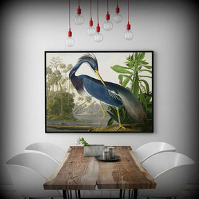 Louisiana Heron Canvas Art