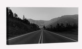 Monochrome Road Trees Canvas Art