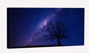 Person Beside Bare Tree Canvas Art