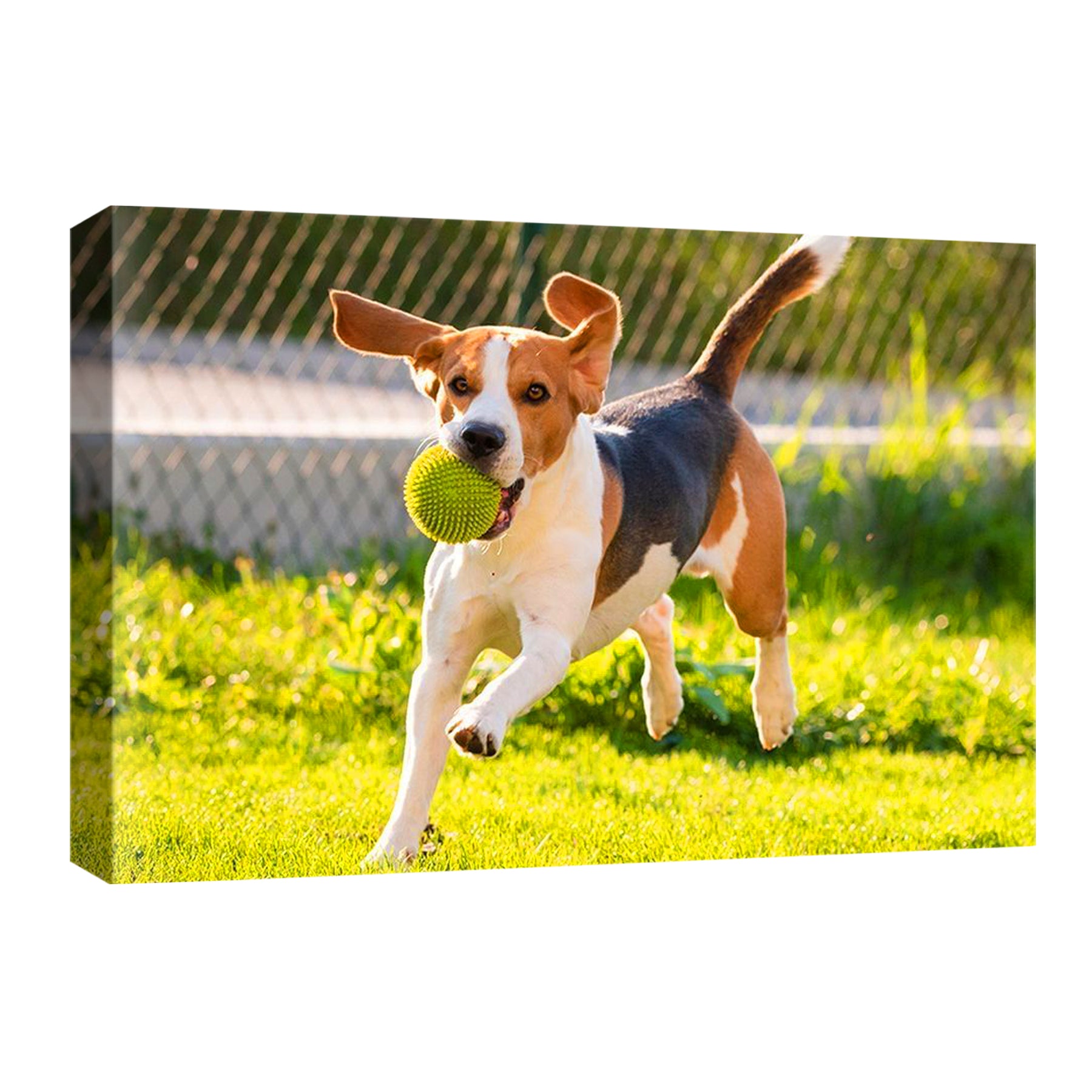 Pet Portrait Print Custom Photo To Canvas Print
