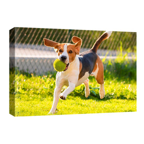 Pet Portrait Print Custom Photo To Canvas Print