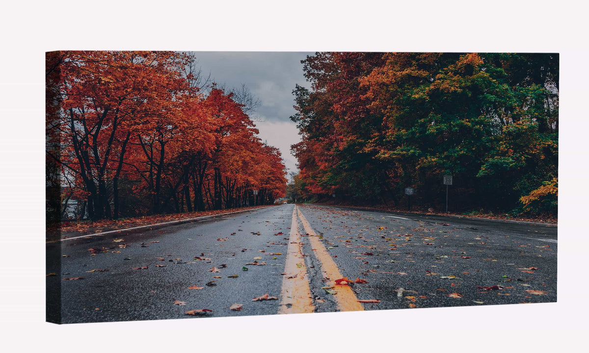 Road Between Autumn Trees Canvas Art