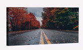 Road Between Autumn Trees Canvas Art