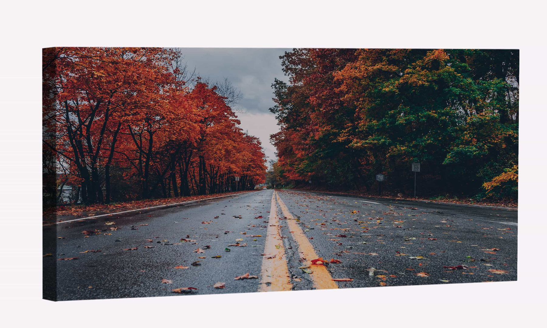 Road Between Autumn Trees Canvas Art