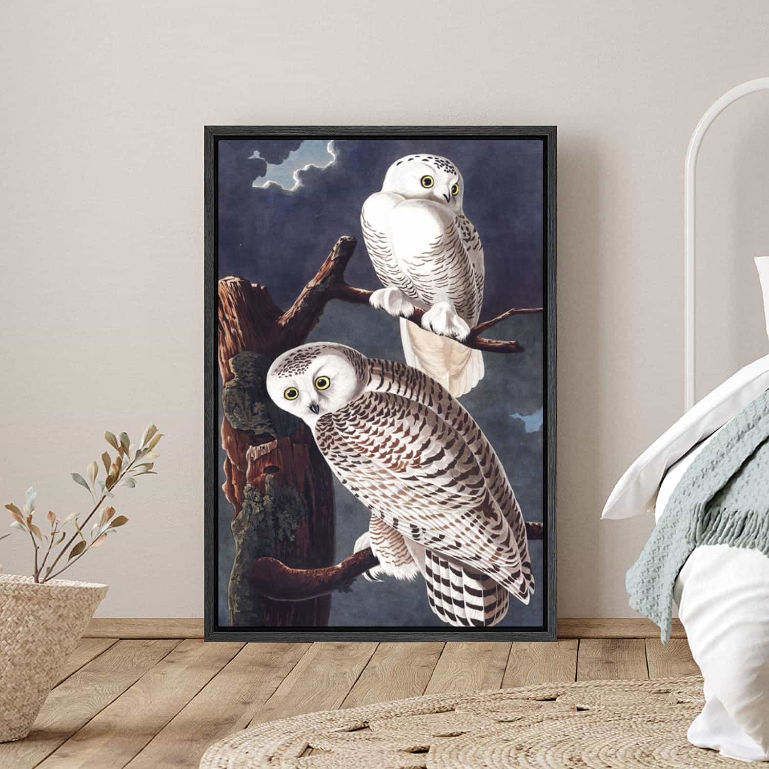 Snowy Owl Canvas Art