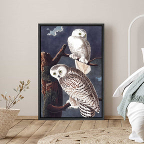 Snowy Owl Canvas Art