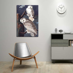Snowy Owl Canvas Art