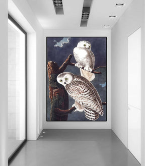 Snowy Owl Canvas Art