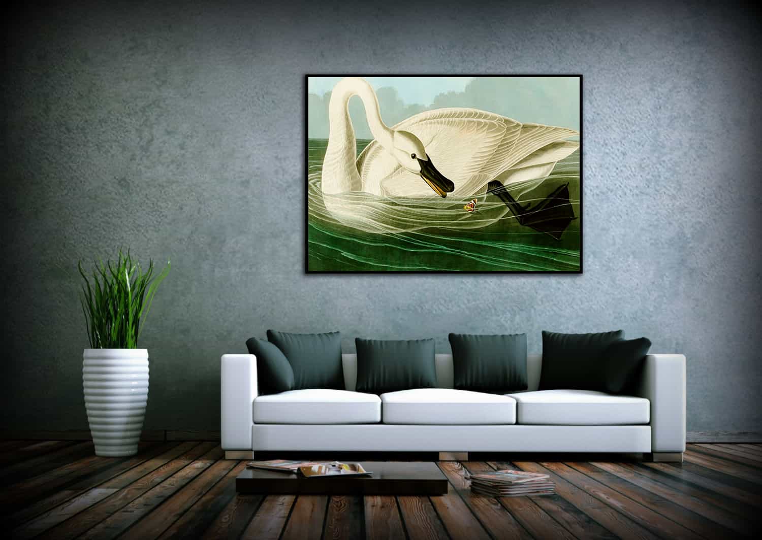 Trumpeter Swan Canvas Art