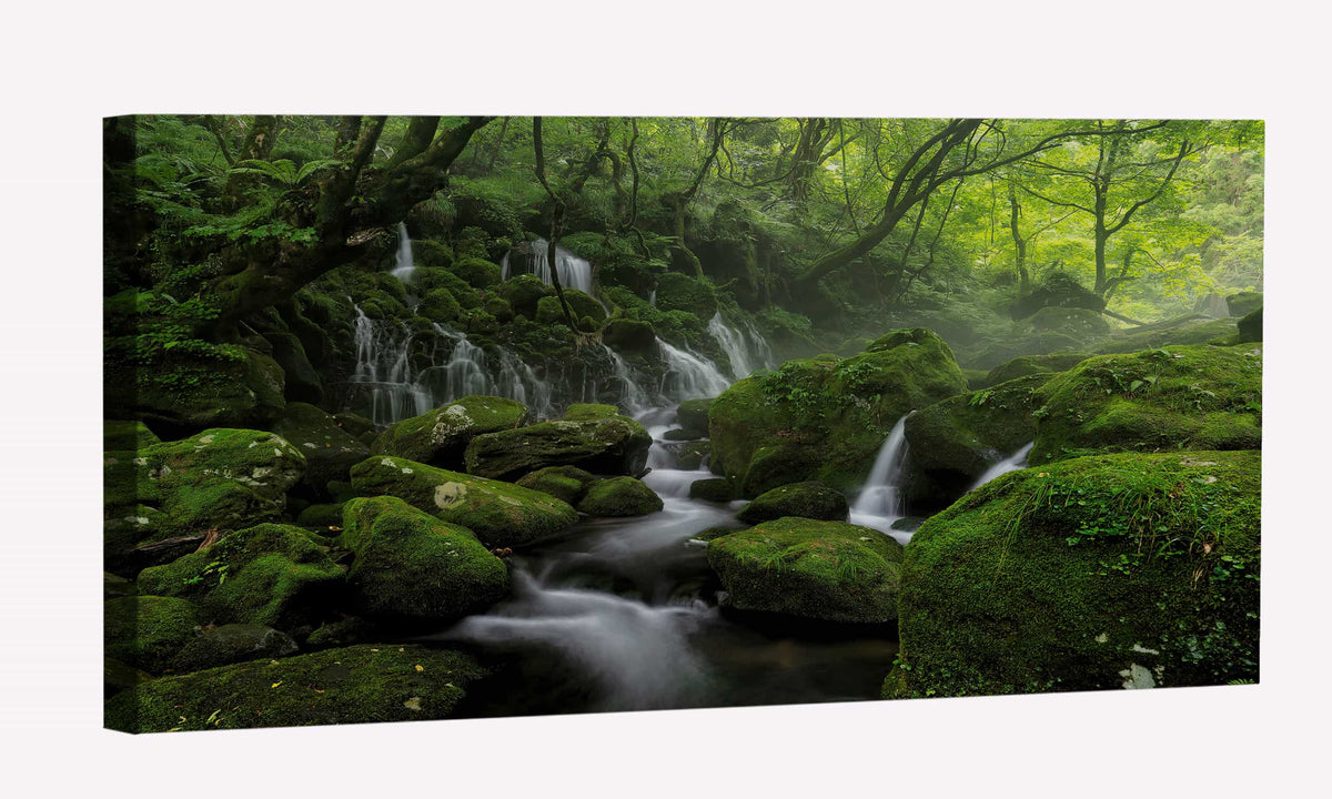 Water Steam Fog Greenery Canvas Art